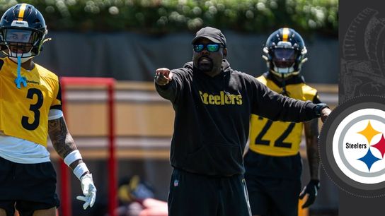 Defense fine without free safety? taken in Pittsburgh